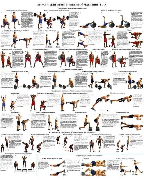 Вправи для м'язів усіх частин тіла Комплект з 6 штук - Зображення 8