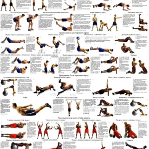 Плакат «Вправи для м’язів середньої частини тіла»