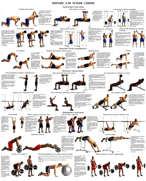 Вправи для м'язів усіх частин тіла Комплект з 6 штук - Зображення 6