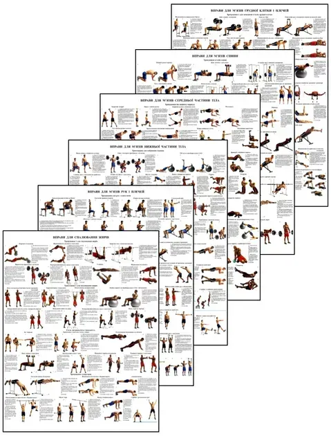 Вправи для м'язів усіх частин тіла Комплект з 6 штук