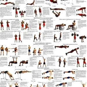 Плакат із вправами для спалювання жиру