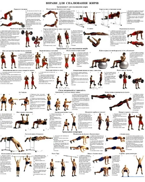 Вправи для м'язів усіх частин тіла Комплект з 6 штук - Зображення 2