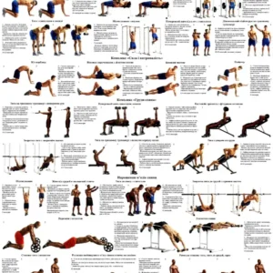 Плакат із вправами для спини 50*64.6 см