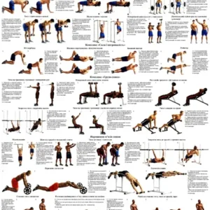 Плакат «Силові вправи для спини»— інструктивний матеріал для тренувань та реабілітації