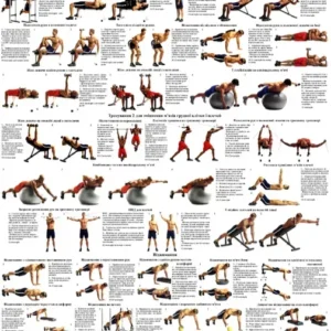Плакат «Вправи для грудної клітки та плечей»