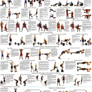 Вправи для м'язів нижньої частини тіла